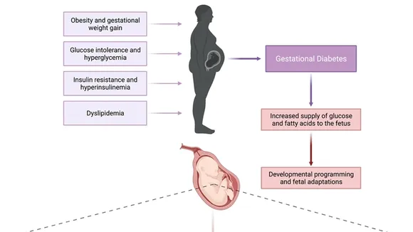 The Link Between Pregnancy Complications and Children's Future Heart Health: A Closer Look