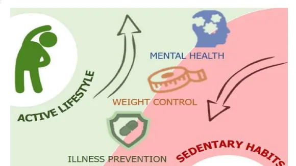 The Impact of Life Choices on Physical and Mental Health: An Integrated Approach to Wellness