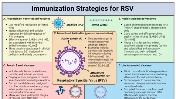 Efficacy of mRNA-based RSV Vaccine: A Closer Look at the Declining Protection Over Time