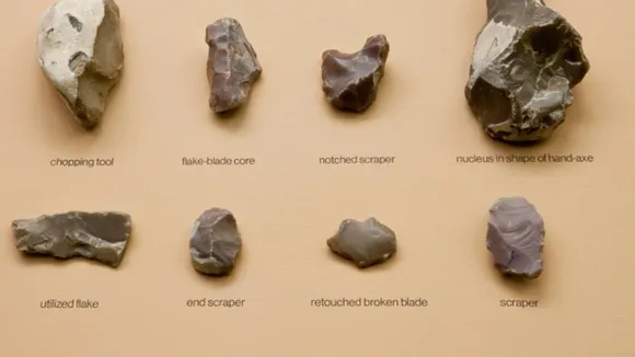 Unraveling the Cognitive Abilities of Neanderthals: A Closer Look at their Advanced Tool-Making Techniques