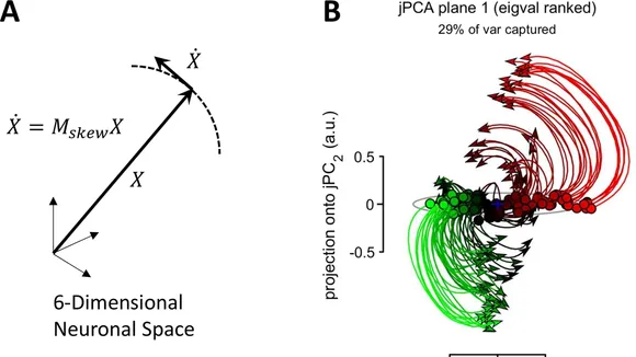 Exploring the Spatiotemporal Properties of Neuronal Population Activity in Cortical Motor Areas