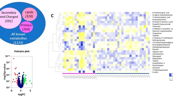 Advancing Health Diagnostics: Machine Learning and Urinary Cell Image Dataset