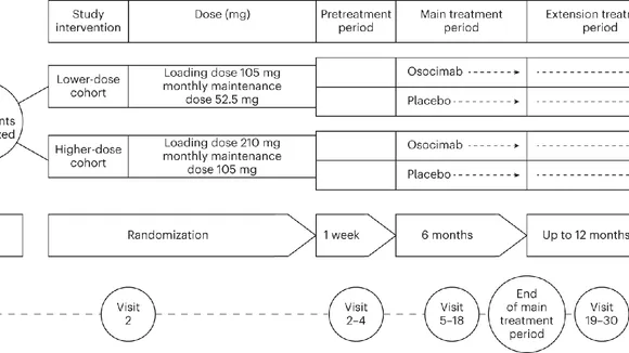 Osocimab Shows Promise as a Safer Anticoagulant in Hemodialysis Patients: Insights from a Phase 2 Trial