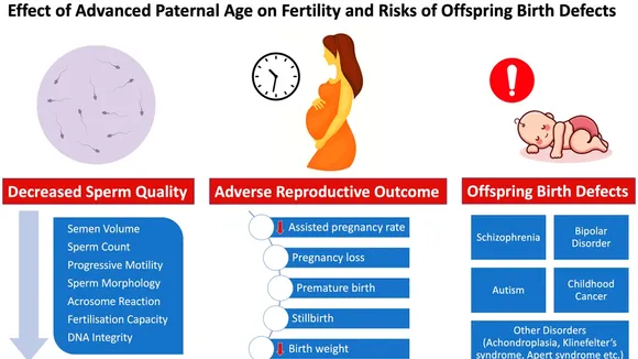 Understanding the Decline in Male Fertility and Sperm Quality with Advancing Paternal Age