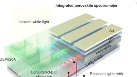 The Future of Photonics: Integrated Devices Based on Perovskite Semiconductors