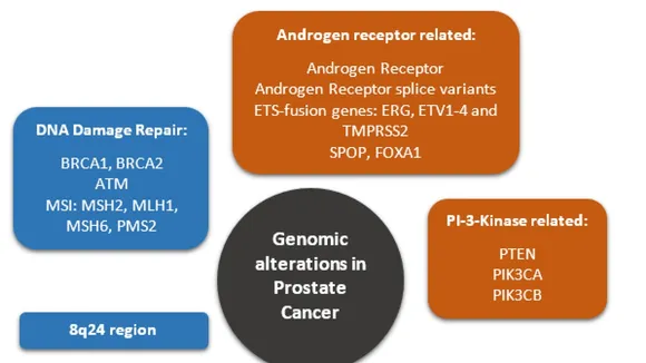 Genomic Profiling and Androgen Receptor Gene Alterations: A New Era in Prostate Cancer Treatment