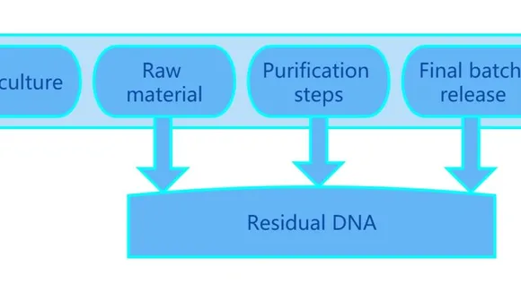 Debunking Misconceptions About Residual DNA in COVID-19 mRNA Vaccines