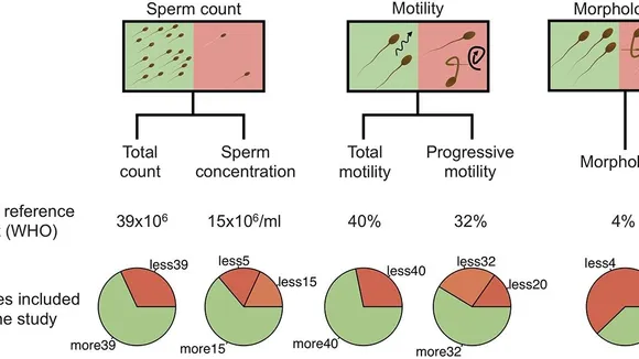 Understanding the Role of Semen Microbiome in Male Infertility