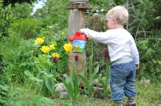 watering plants