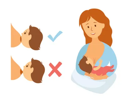 Baby Positioning - Breastfeeding - How To Hold Baby
