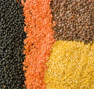 Lentil | Description, Nutrition, & History | Britannica
