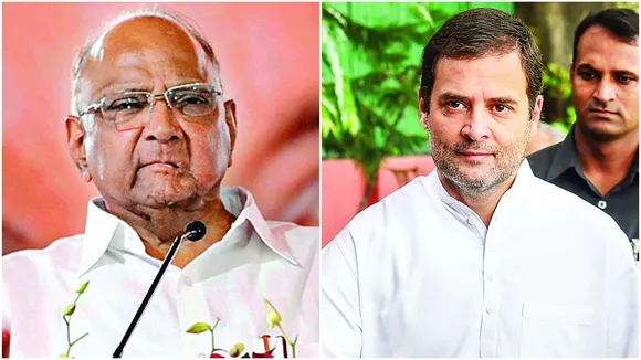 Cong, NCP forge pre-poll alliance in Gujarat; NCP to contest 3 seats