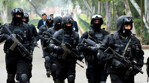 11 terror suspects arrested in Pakistan