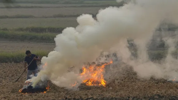A farmer burns stubble near Palwal, Haryana