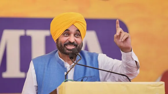 Punjab Chief Minister Bhagwant Mann (File image)