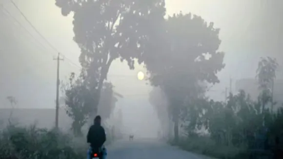 Rajasthan winter Fog image