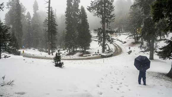Snow fall image