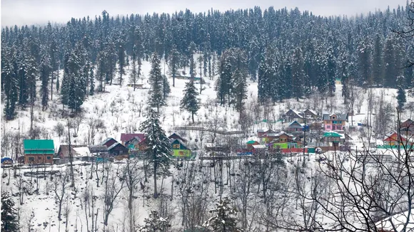 Snowfall snow in Jammu and Kashmir image