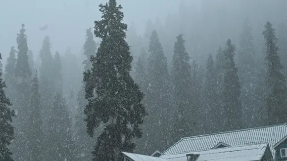Fresh snowfall image