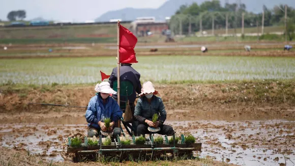 Kim Jong Un calls for unity to boost grain production in North Korea