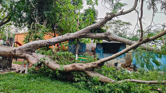 Two dead, 23 injured in storm-related incidents in Delhi