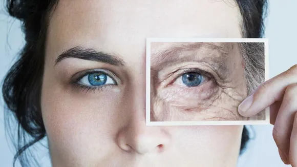 Anti-ageing function of human cell protein discovered