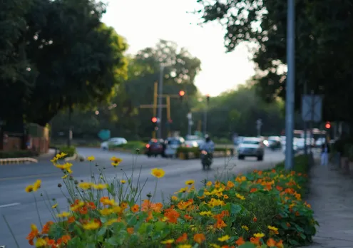 2.5 lakh potted plants adorn Delhi streets ahead of G20 Summit