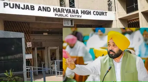 Will withdraw notification on dissolution of gram panchayats within two days: Punjab govt tells HC