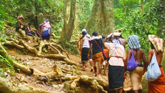 Snake charmers deployed on Sabarimala trekking route to deal with reptiles