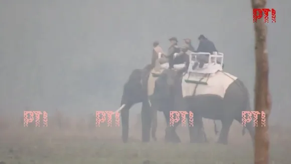 PM Modi takes elephant, jeep safari in Assam's Kaziranga National Park