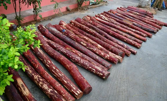 AP police arrest eight persons for stealing half a tonne of red sanders logs