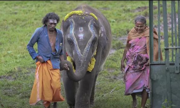 M K Stalin honours 'The Elephant Whisperers' Belli and Bomman