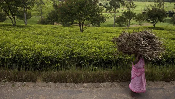 Women bear the brunt of Asia's climate failures