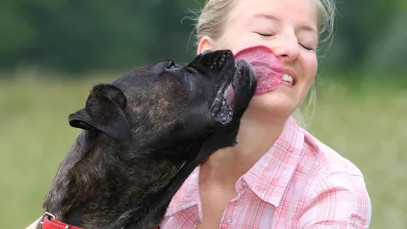 Many owners allow their dogs to lick their faces, but it could be unhealthy – and even fatal