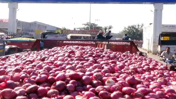 Govt to buy 3 lakh tonnes of onion in Rabi season: Goyal