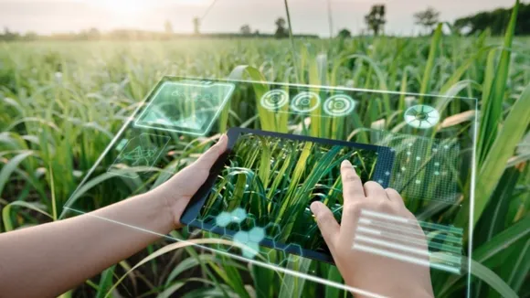 AI helps predict how agricultural land suitability may change by 2050