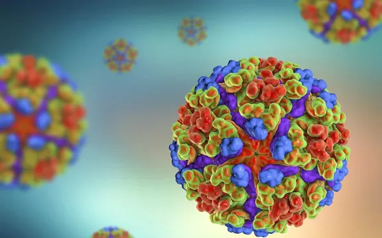 Chikungunya virus's ''invisibility shield'' may lead to vaccines or treatments: Study
