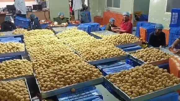 5 lakh laddus weighing 250 quintals set to leave Ujjain for Ayodhya on Friday
