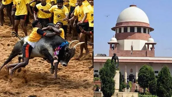 'Jallikattu': Will be dangerous if court makes impression based on photographs, says SC