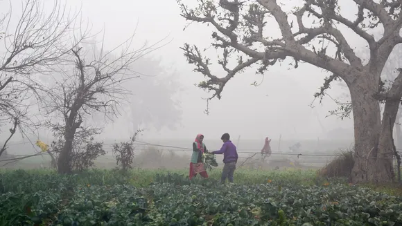 Foggy morning in parts of Punjab, Haryana; Amritsar records 4.2 deg C