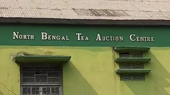 Sale no 12 at Calcutta tea auction will be under new Bharat model: CTTA