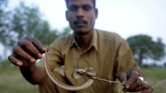 Odisha govt to provide insurance to certified snake handlers