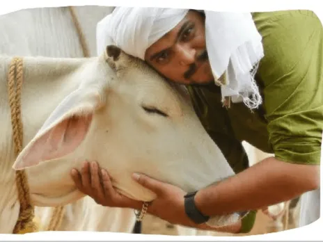 Rural Development Minister Giriraj Singh backs 'Cow Hug Day'