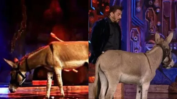 Salman Khan with a donkey in 'Bigg Boss 18'