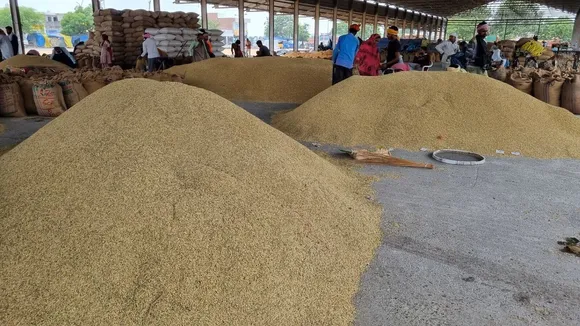 Govt extends export ban on de-oiled rice bran till March 2024