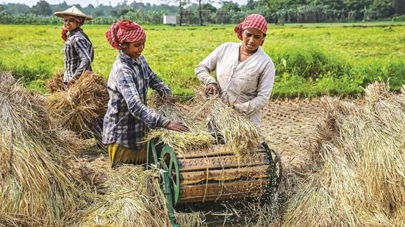 Retail inflation for farm, rural workers eases marginally in August