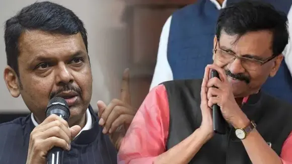 Shiv Sena (UBT) should stop hurting sentiments of Hindus: Fadnavis on Raut's claim about temple site