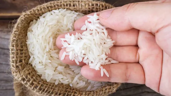 Govt to sell Bharat Rice at Rs 29/kg in retail; asks traders, processors to disclose rice stock