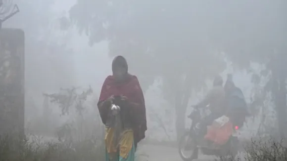 Cold wave continues in Odisha, IMD issues fog warning for 13 districts