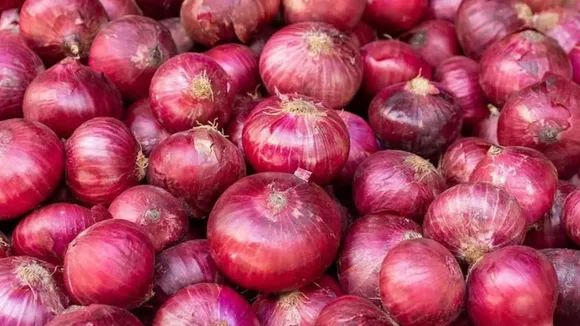 Export duty on onions: Farmers protest in Nashik in Maharashtra, want Centre to scrap move